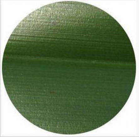 Waxy surface of the leaf (para) 